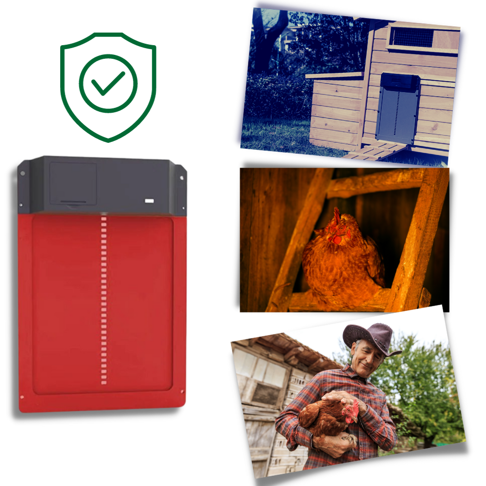 Automatic Chicken Coop Door - Ozerty