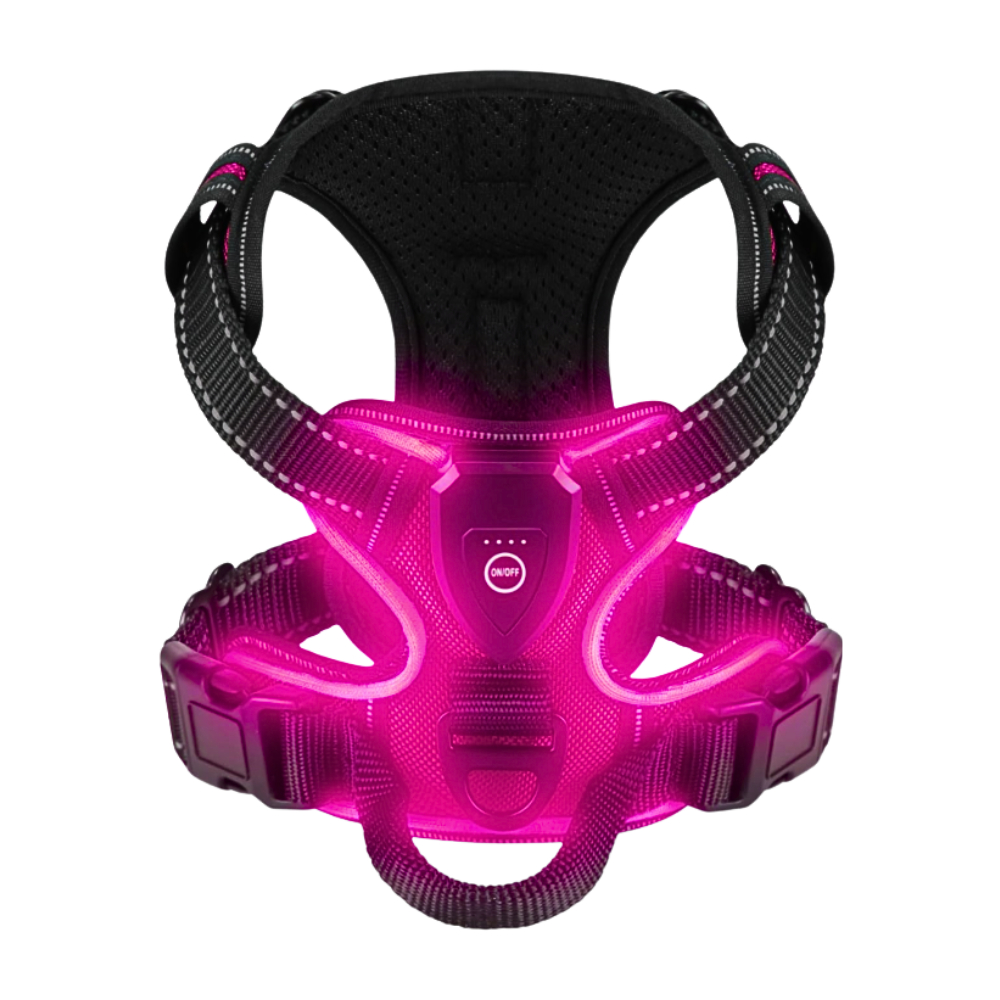 Blink LED Light Dog Harness