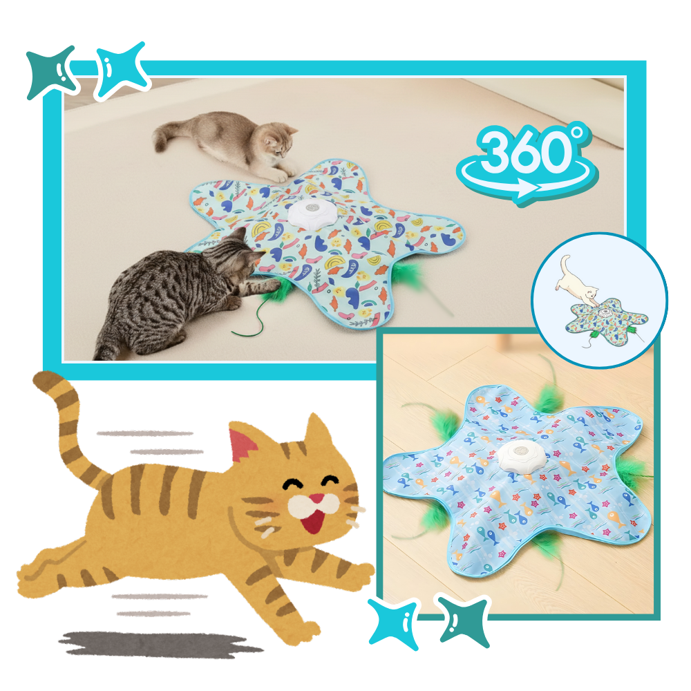 Kitten Teething Feather Toy - Ozerty