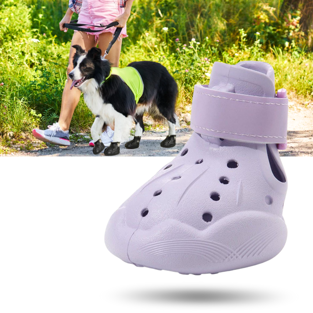 Paw Guard Boots - Ozerty