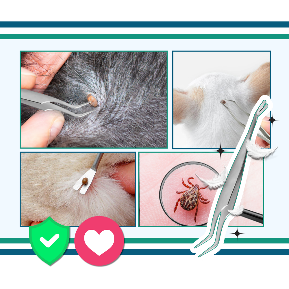 Precision Tick Extractor - Ozerty