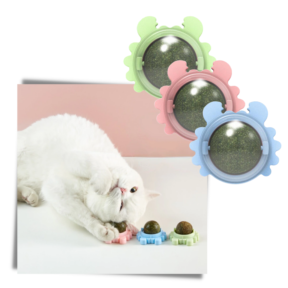 Rotatable Cat Mint Ball Toy