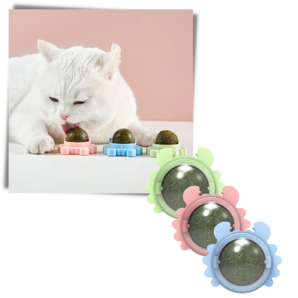 Rotatable Cat Mint Ball Toy