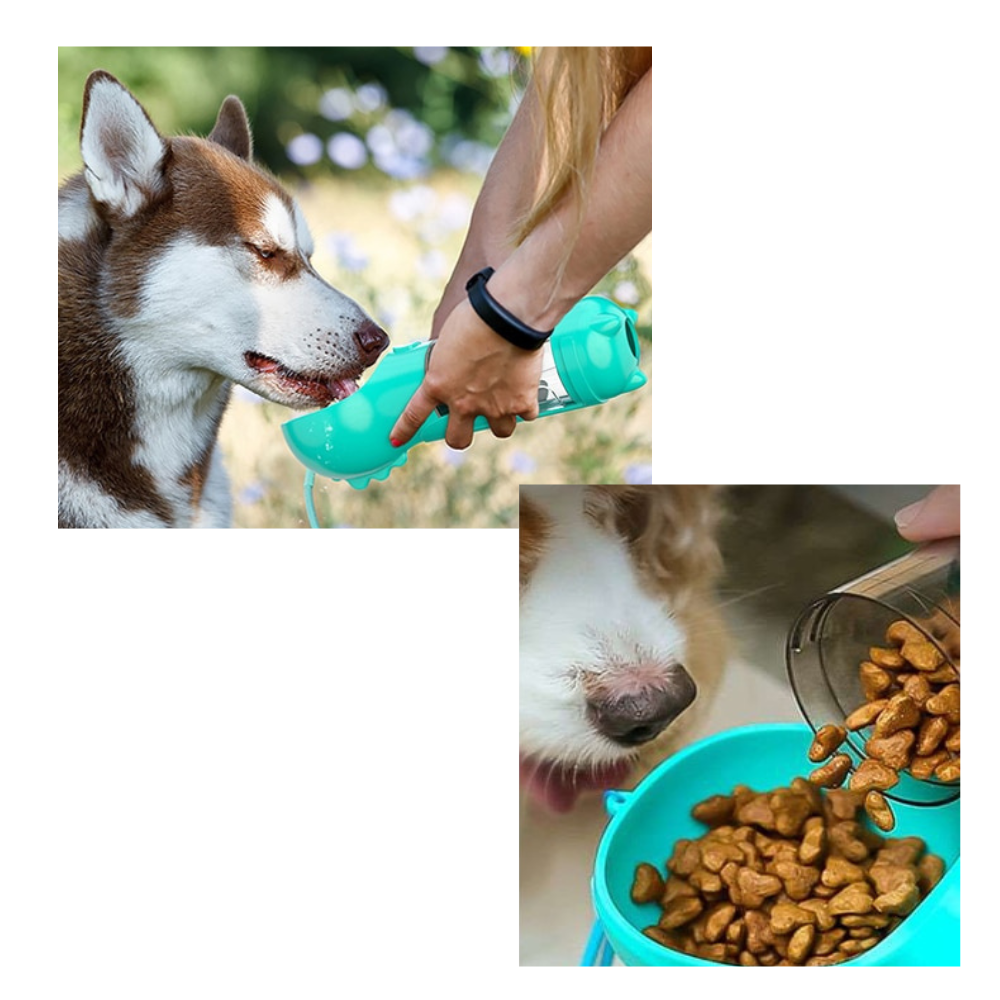 Portable Pet Feeder & Water Bottle