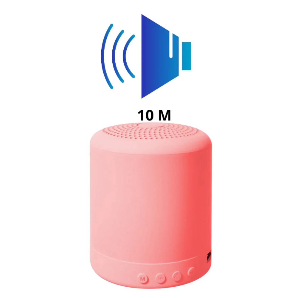 Mini Bluetooth Speaker