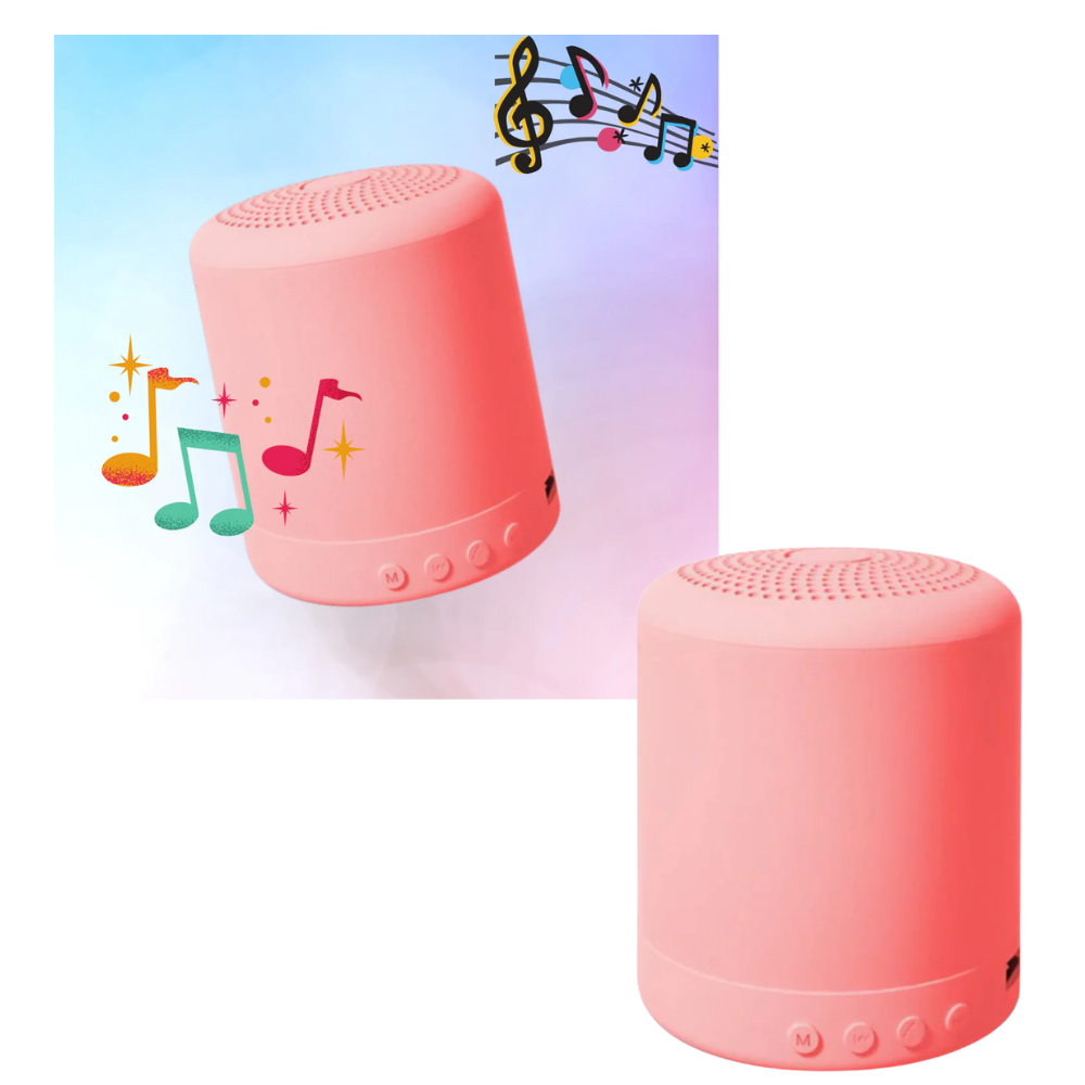 Mini Bluetooth Speaker