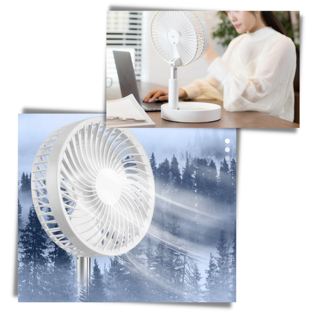 Unique Portable Foldable USB Fan