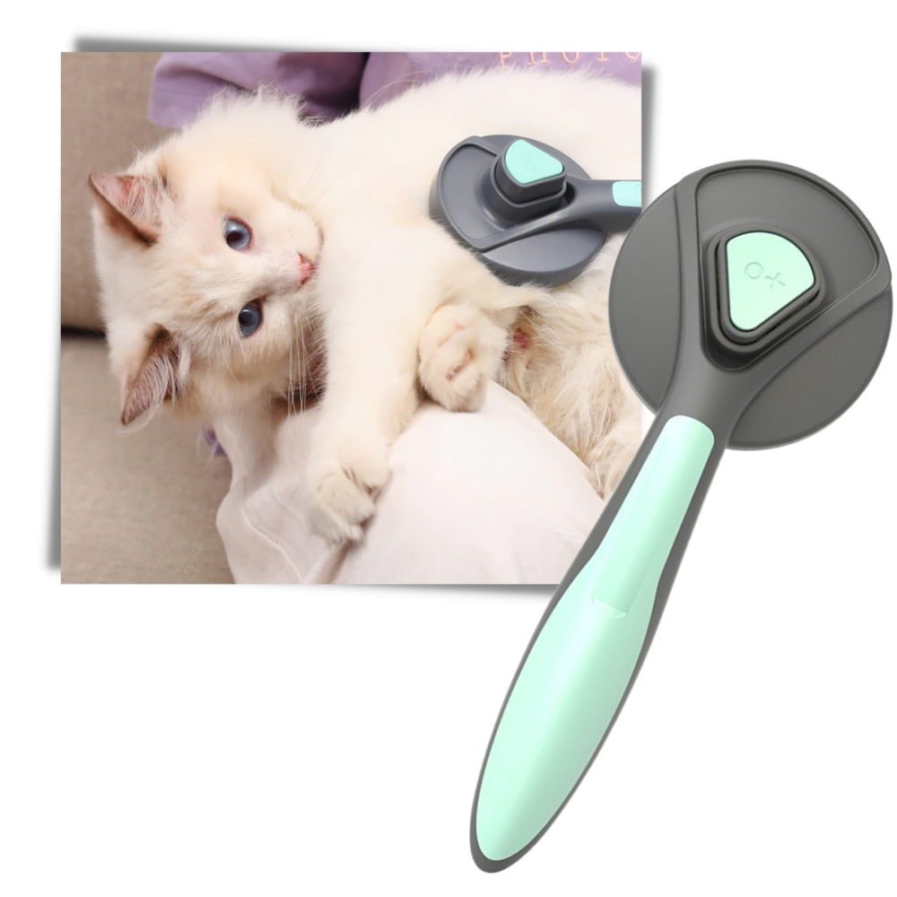 Special Brush For Pets