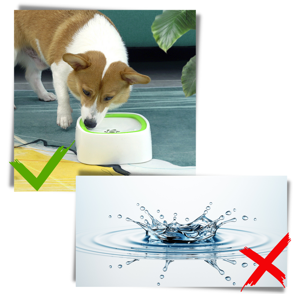 Pet Floating Water Bowl