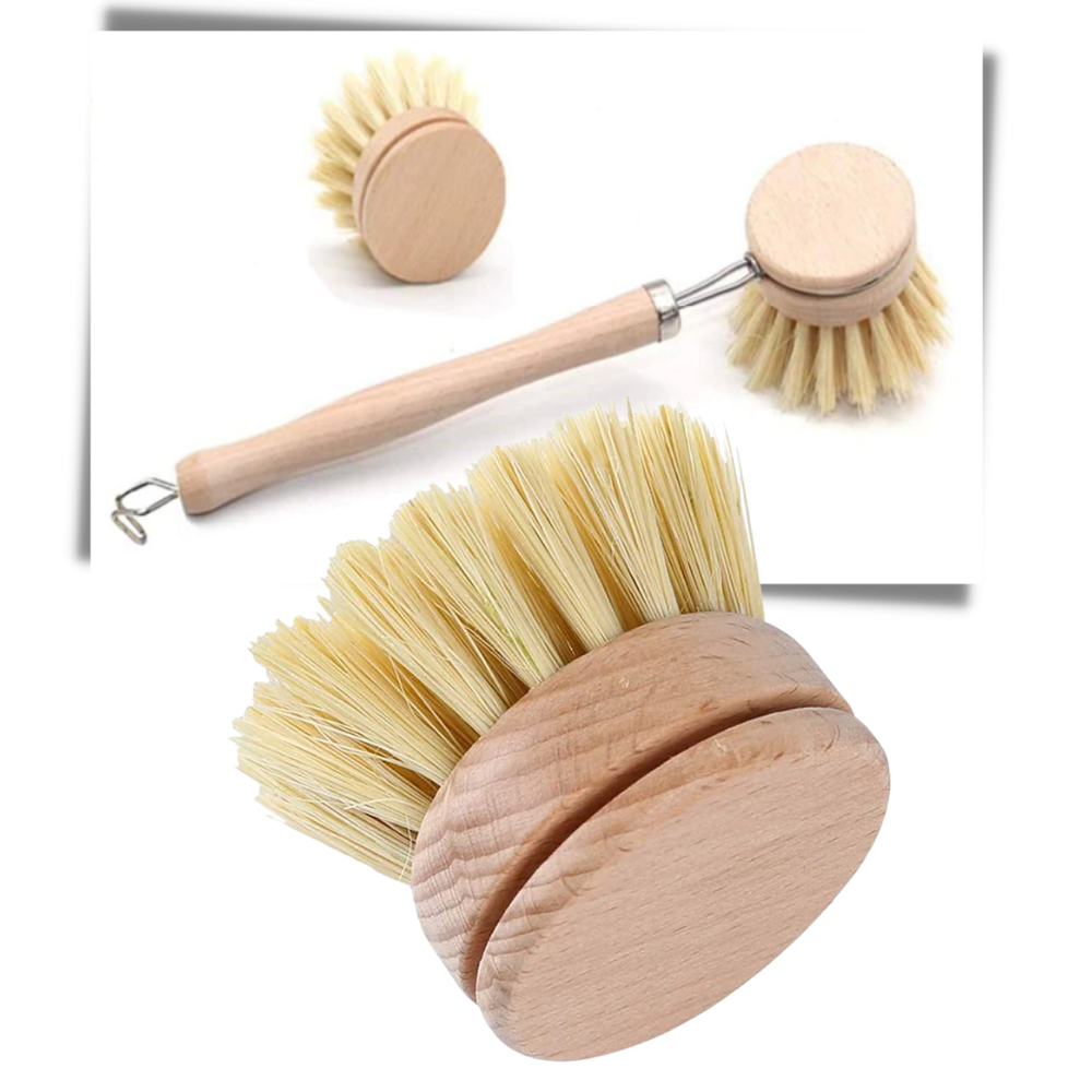 Eco-Friendly Scrubbing Brush