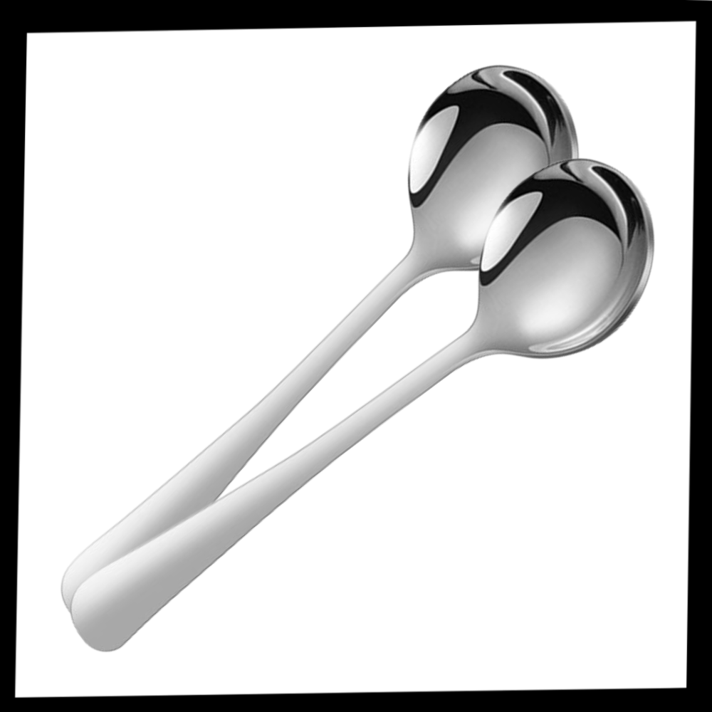 2-Pack Stainless Steel Spoons