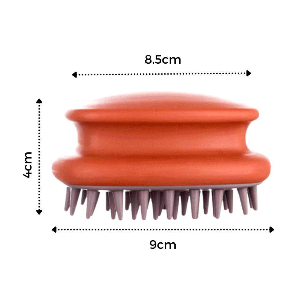 Scalp Massage Brush