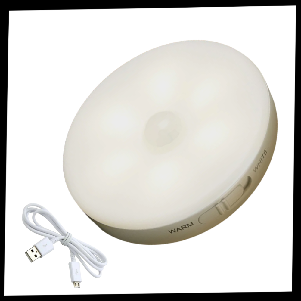 LED Light With Motion Sensor