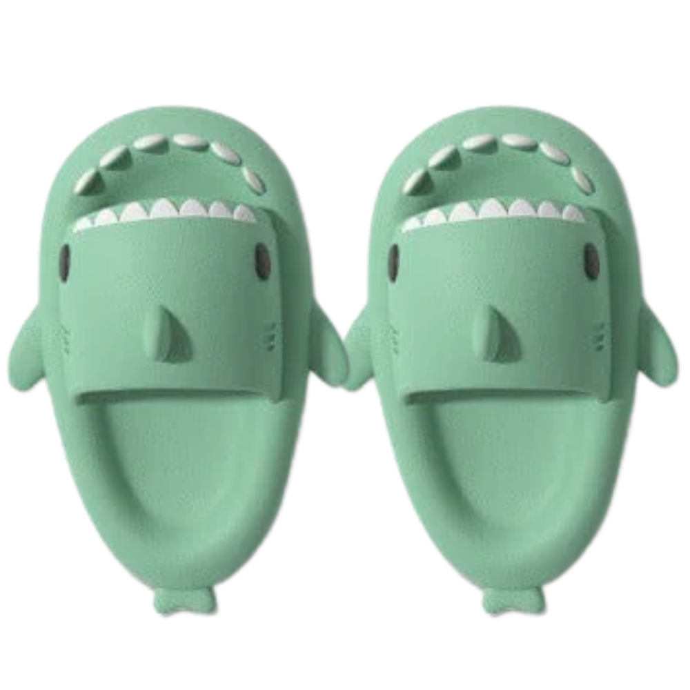 Shark Beach Slippers