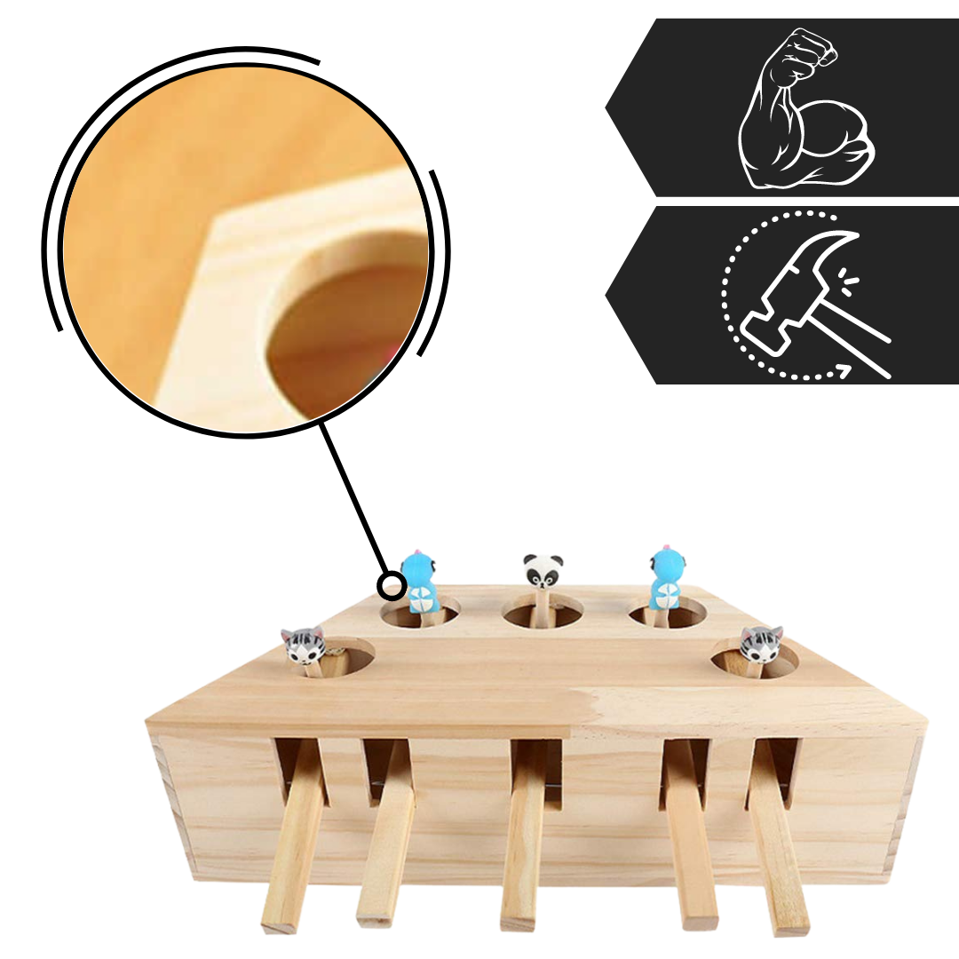 5 Hole Wooden Interactive Cat Toy