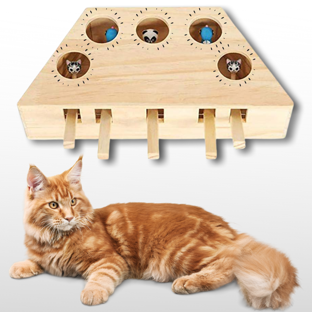 5 Hole Wooden Interactive Cat Toy