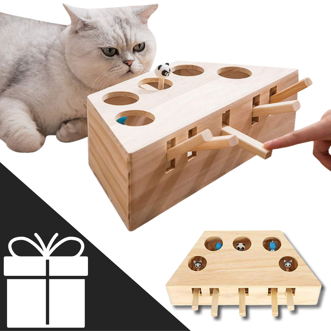 5 Hole Wooden Interactive Cat Toy