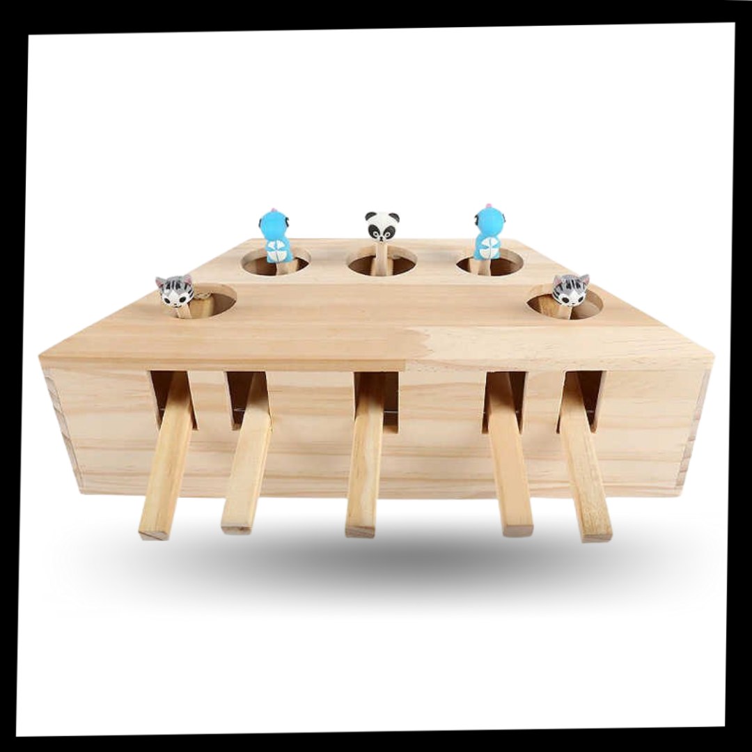 5 Hole Wooden Interactive Cat Toy