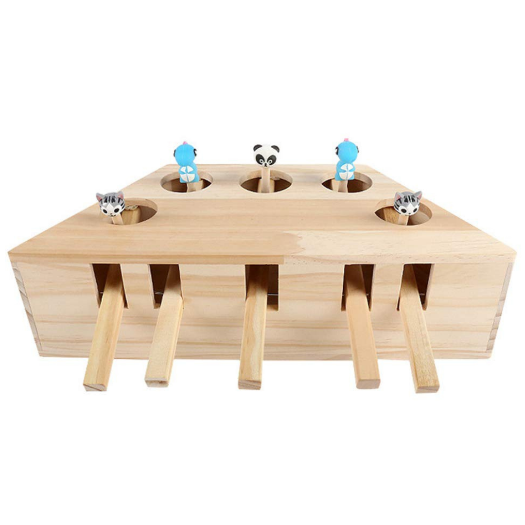 5 Hole Wooden Interactive Cat Toy