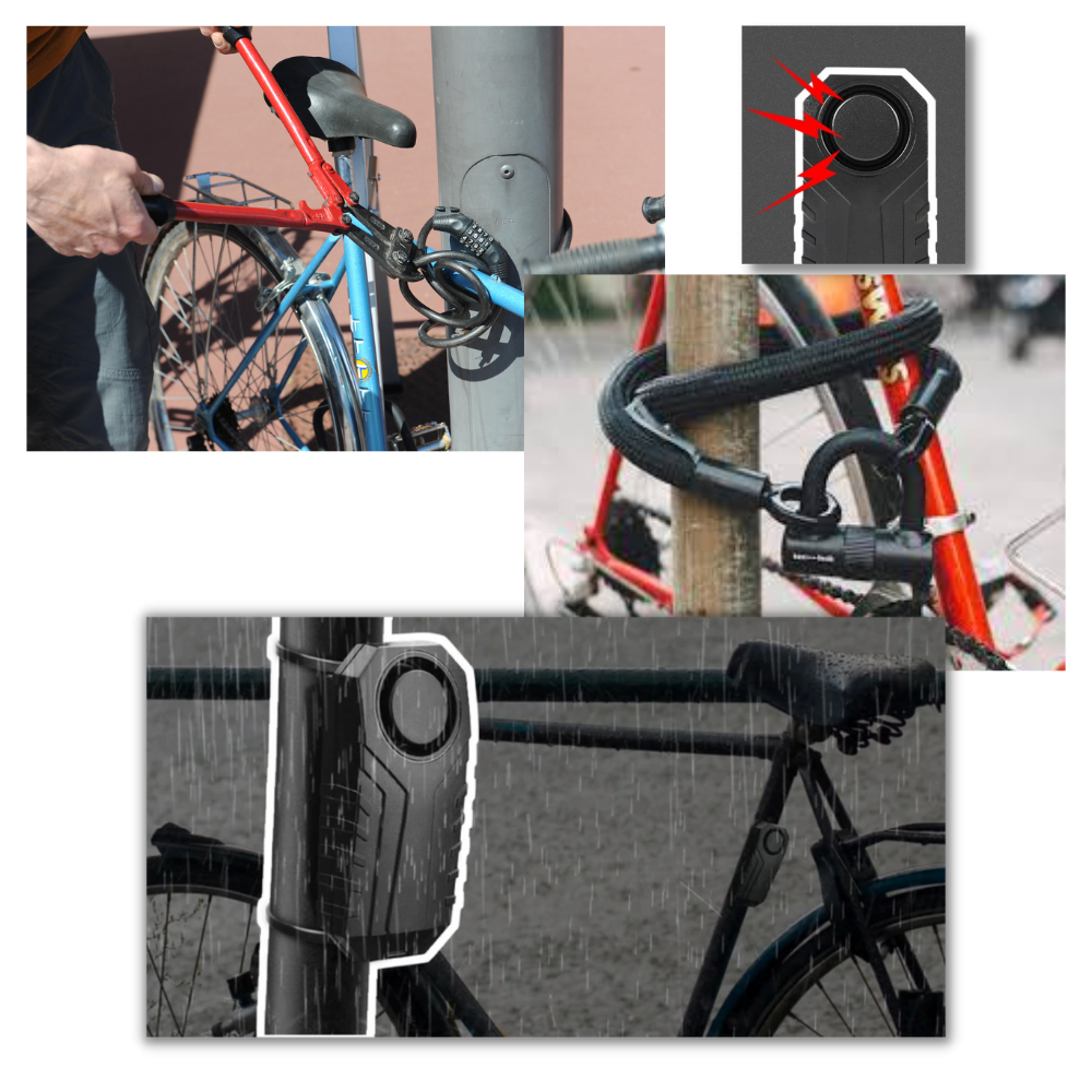 Electric Bicycle Alarm System