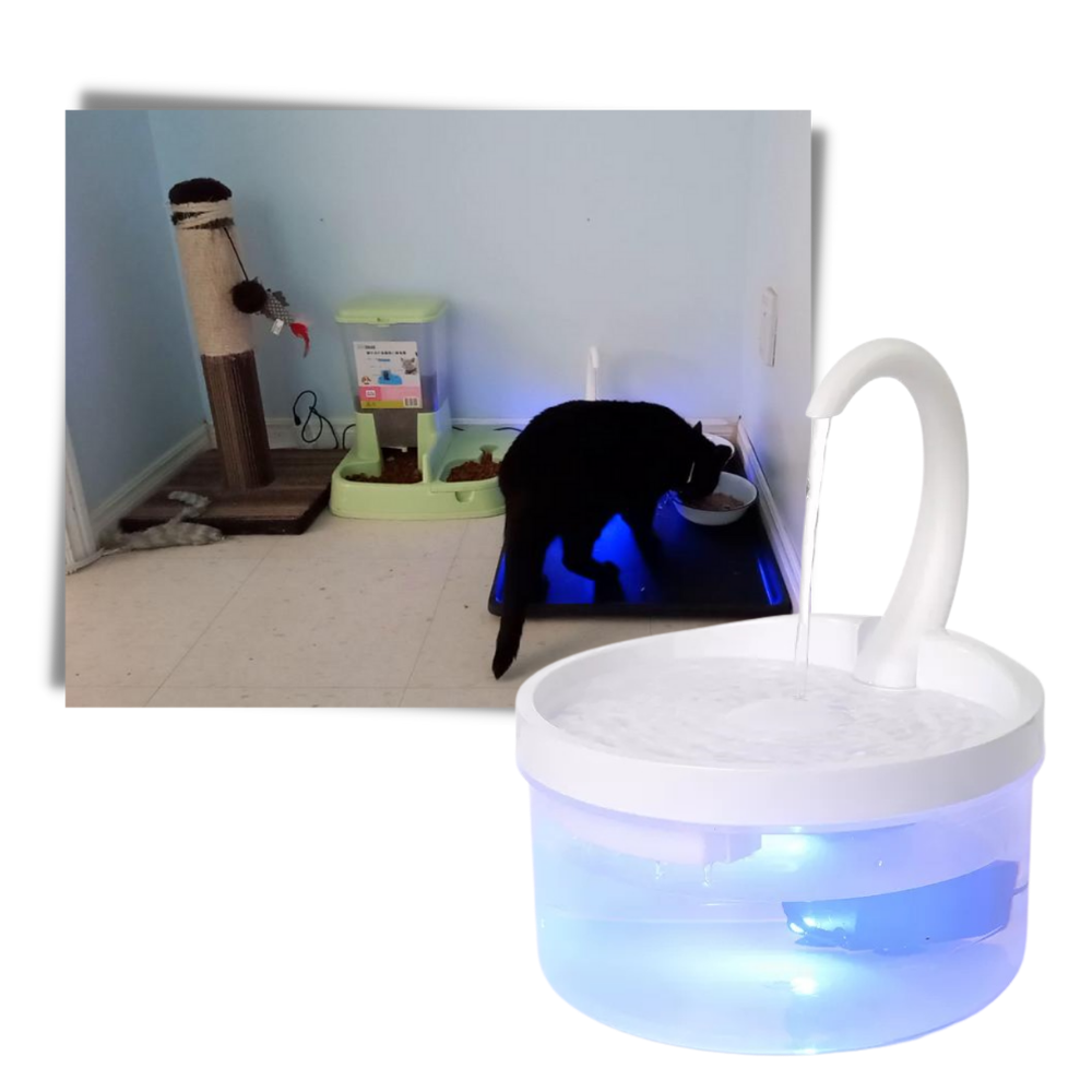 Auto water fountain for cat with LED light