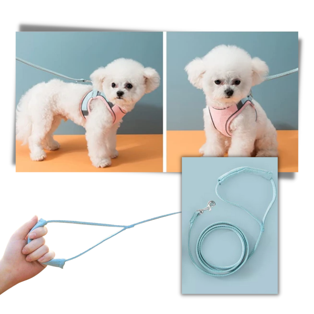 Pet Harness and Leash Set