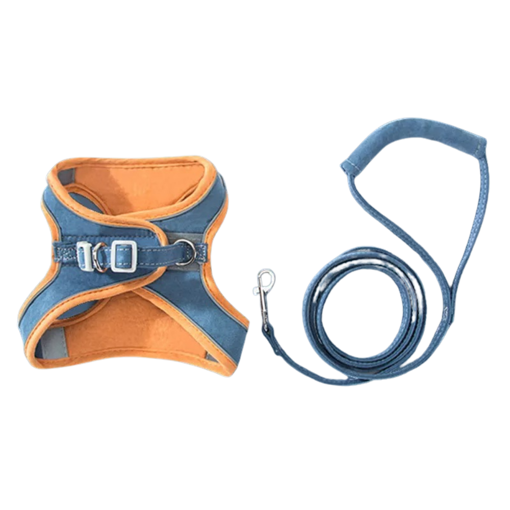 Pet Harness and Leash Set