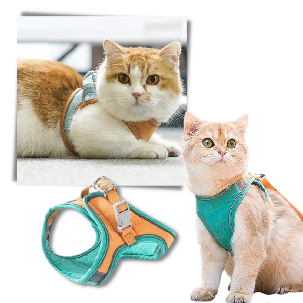 Pet Harness and Leash Set