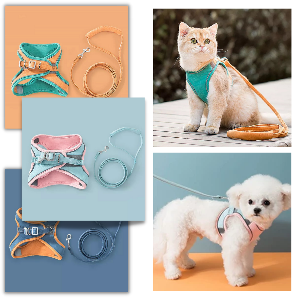 Pet Harness and Leash Set -