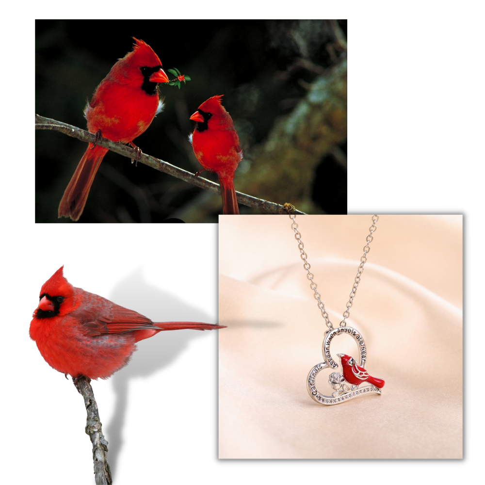 Cardinal Heart Pendant Necklace