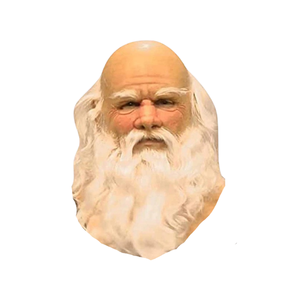 Cosplay Santa Mask