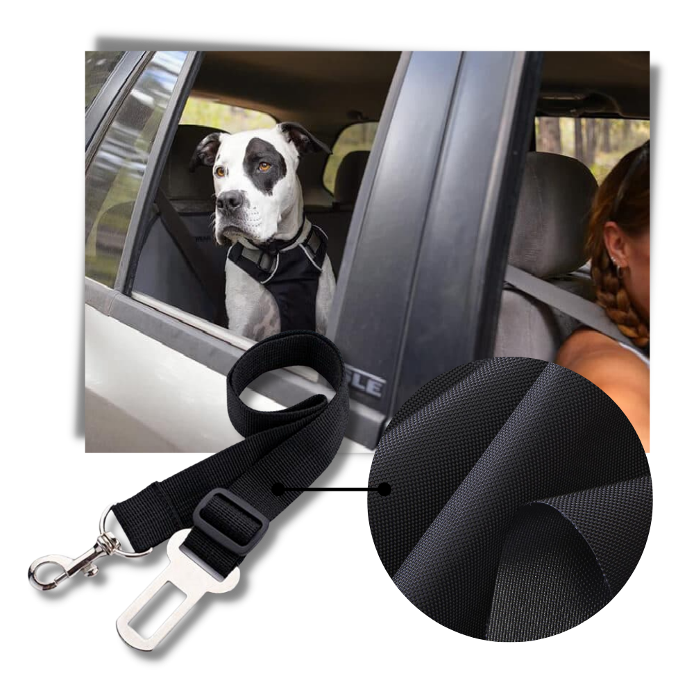 Adjustable and Durable Dog Safety Belt For Cars