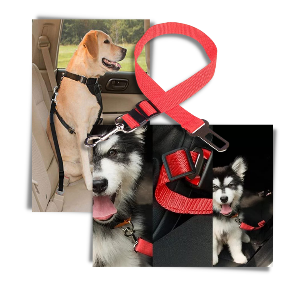 Adjustable and Durable Dog Safety Belt For Cars