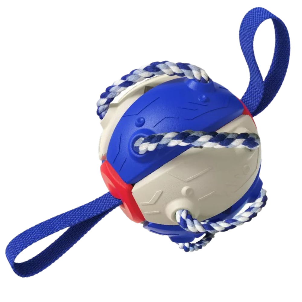 Frisbee Ball Dog Toy