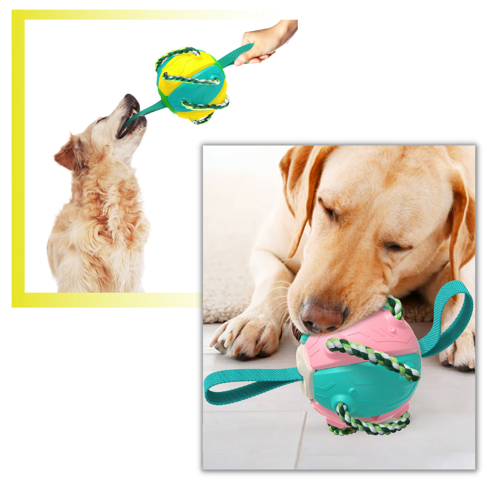 Frisbee Ball Dog Toy