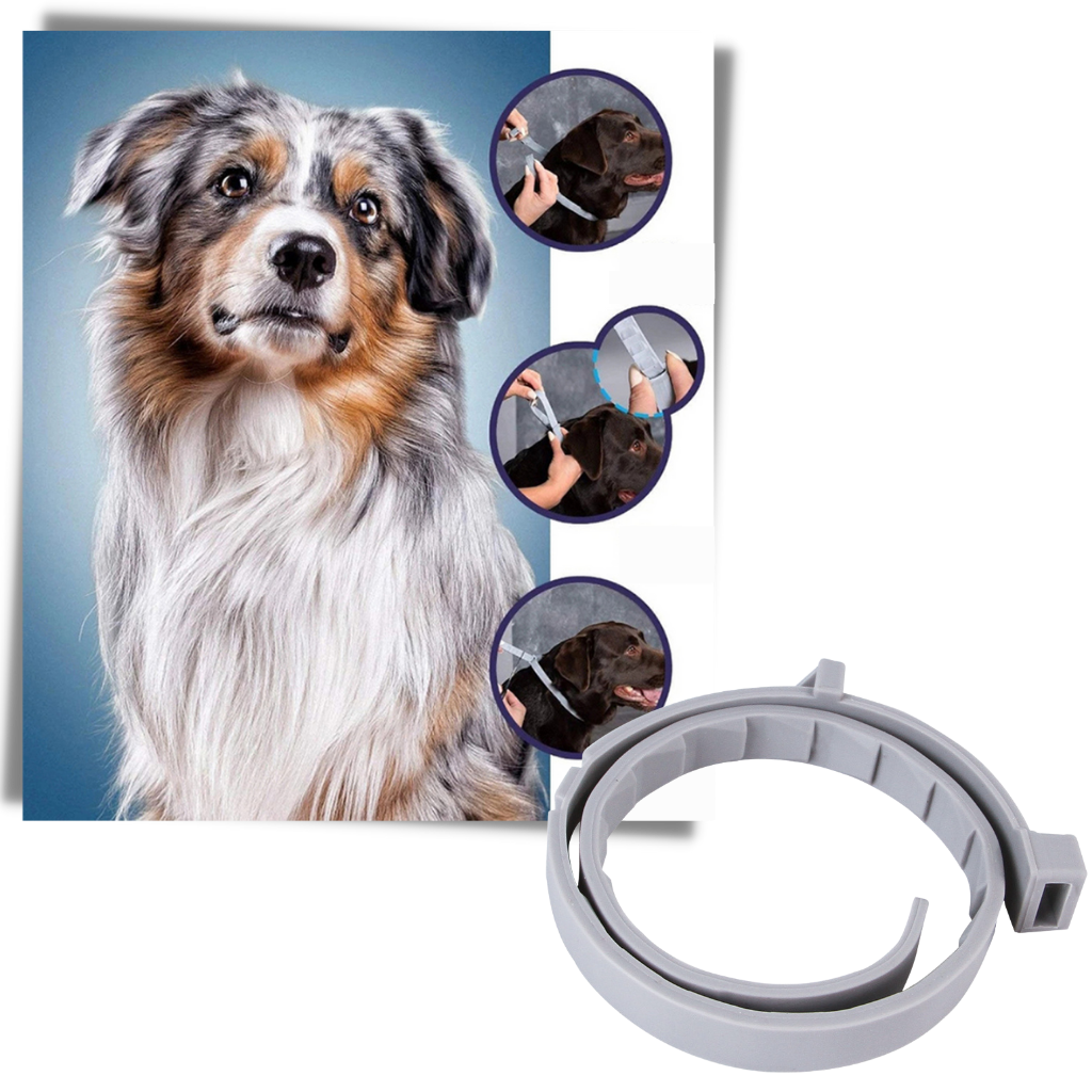 Anti-Flea Collar for Pets