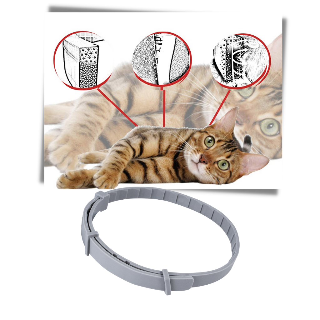 Anti-Flea Collar for Pets