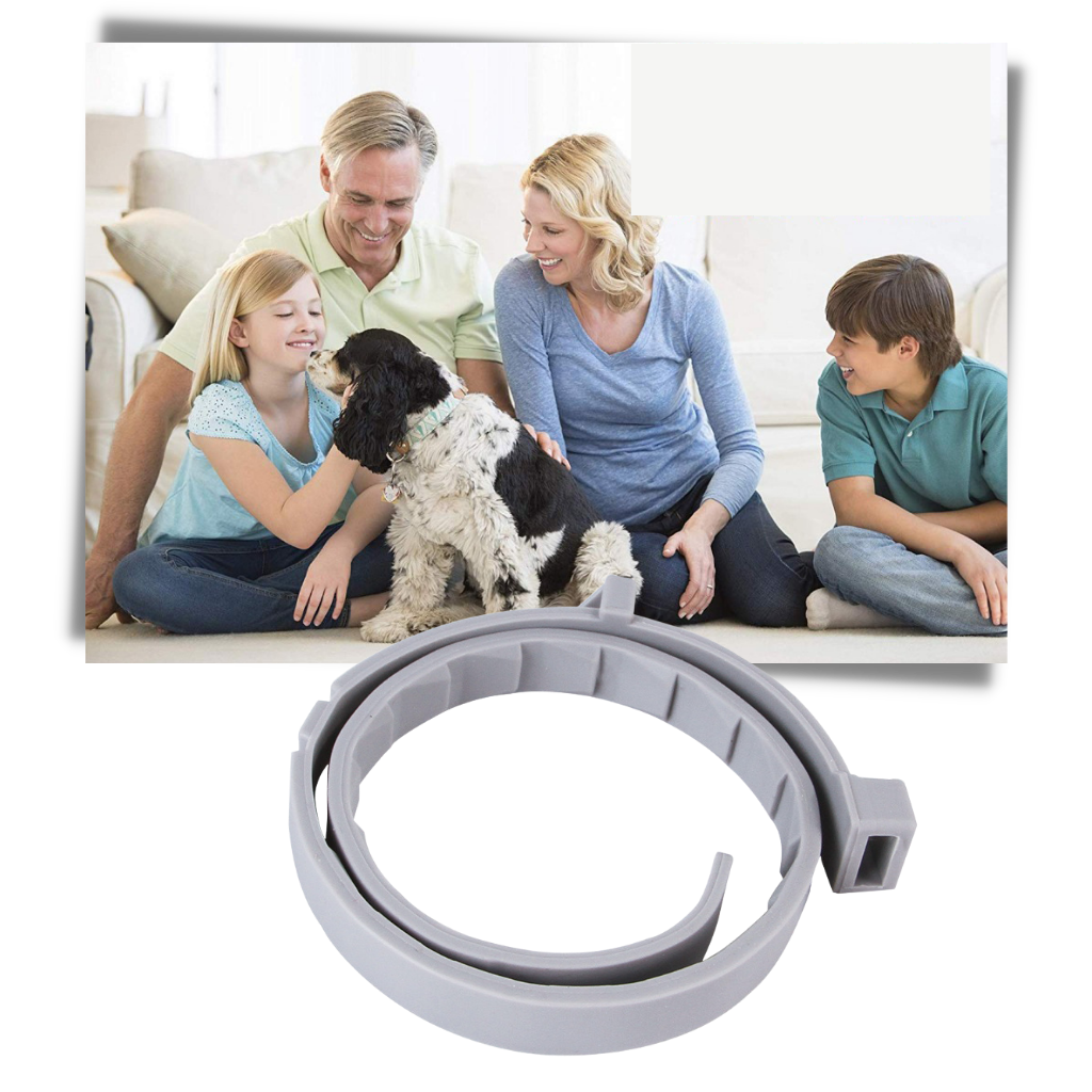 Anti-Flea Collar for Pets