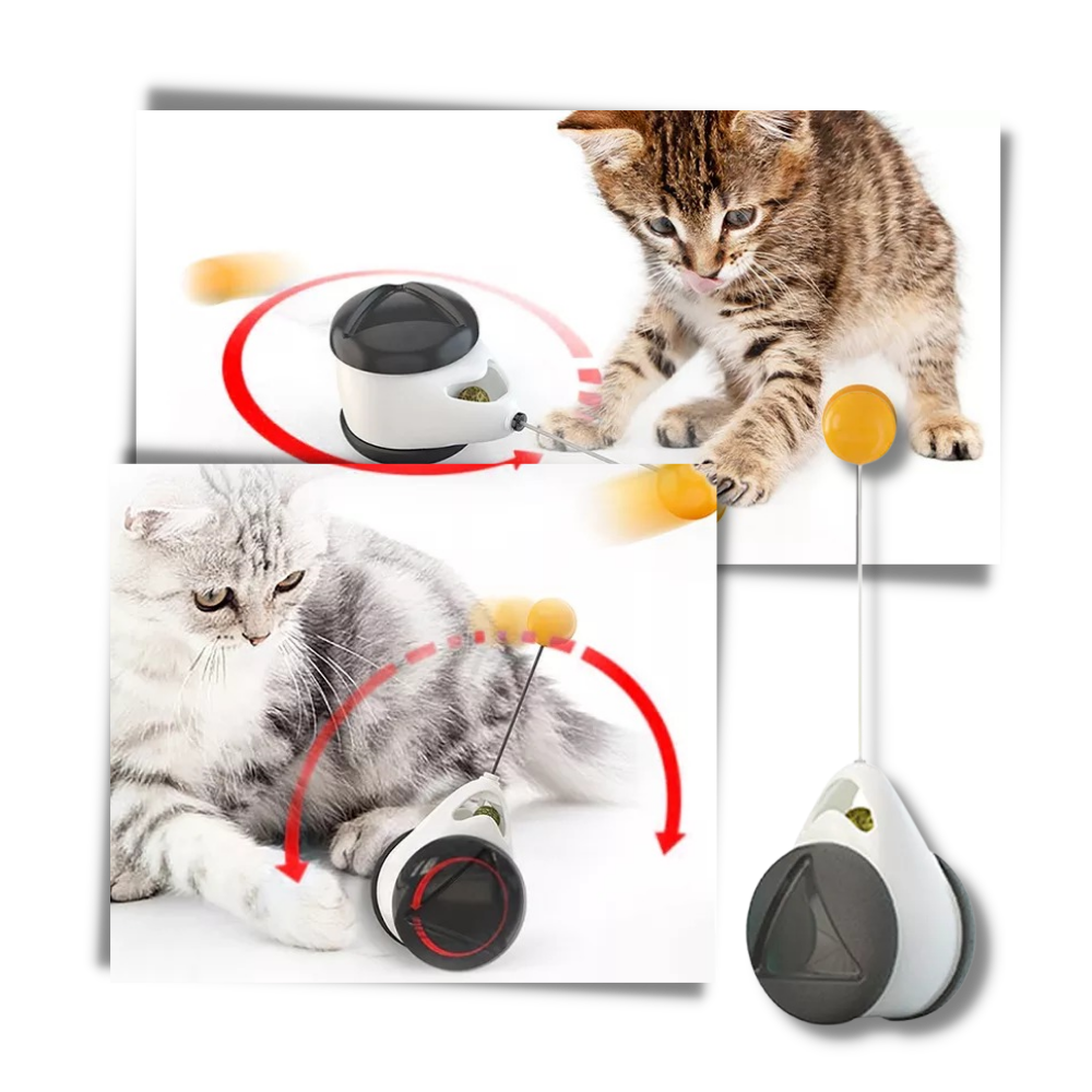 Interactive ball toy for cats