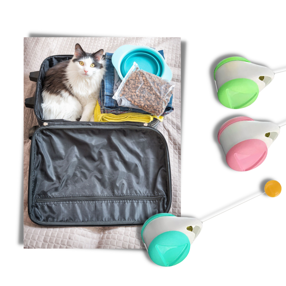 Interactive ball toy for cats