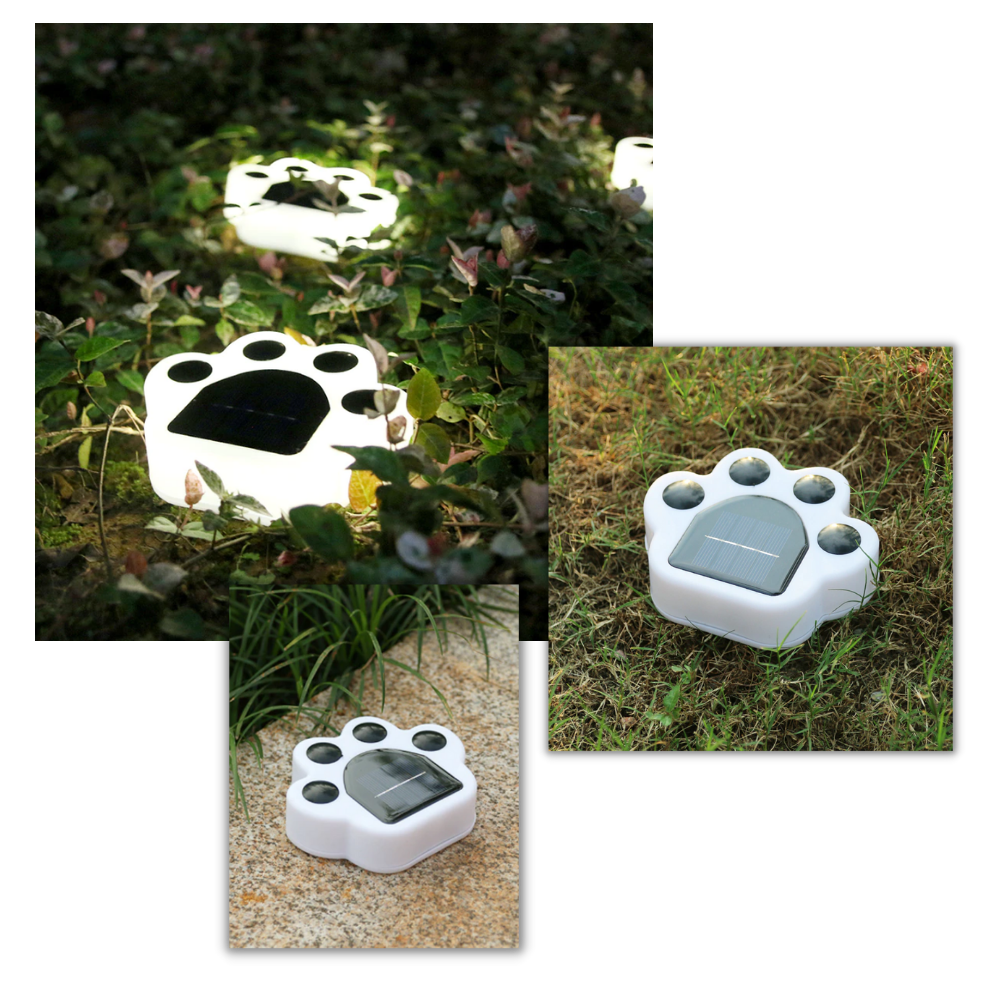 Solar-Powered Paw Print Pathway Light