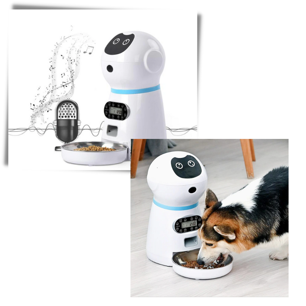 Automatic Pet Food Dispenser