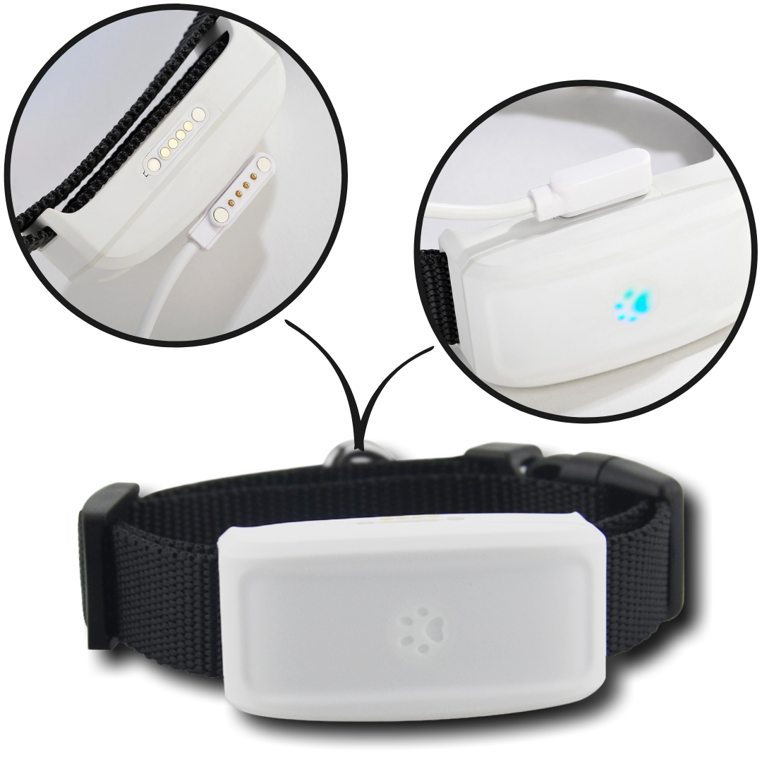 Pet GPS Tracking Collar