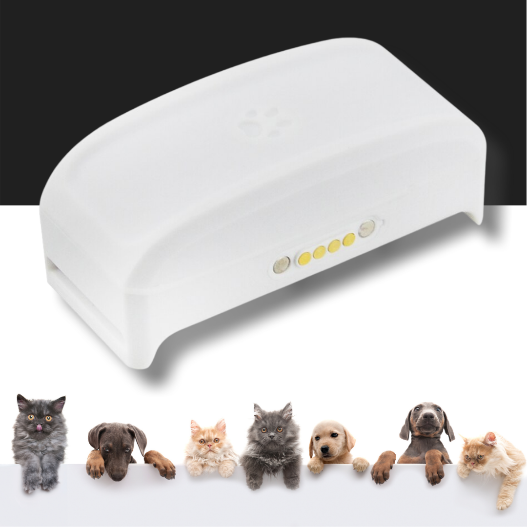 Pet GPS Tracking Collar