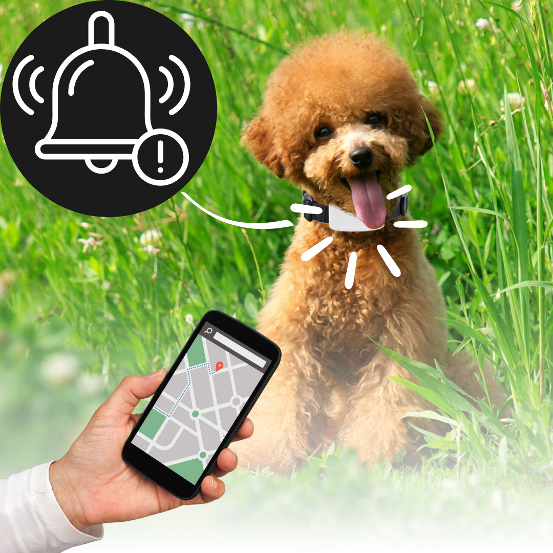 Pet GPS Tracking Collar