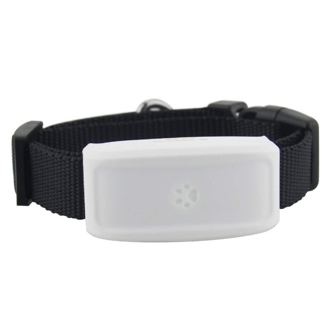 Pet GPS Tracking Collar