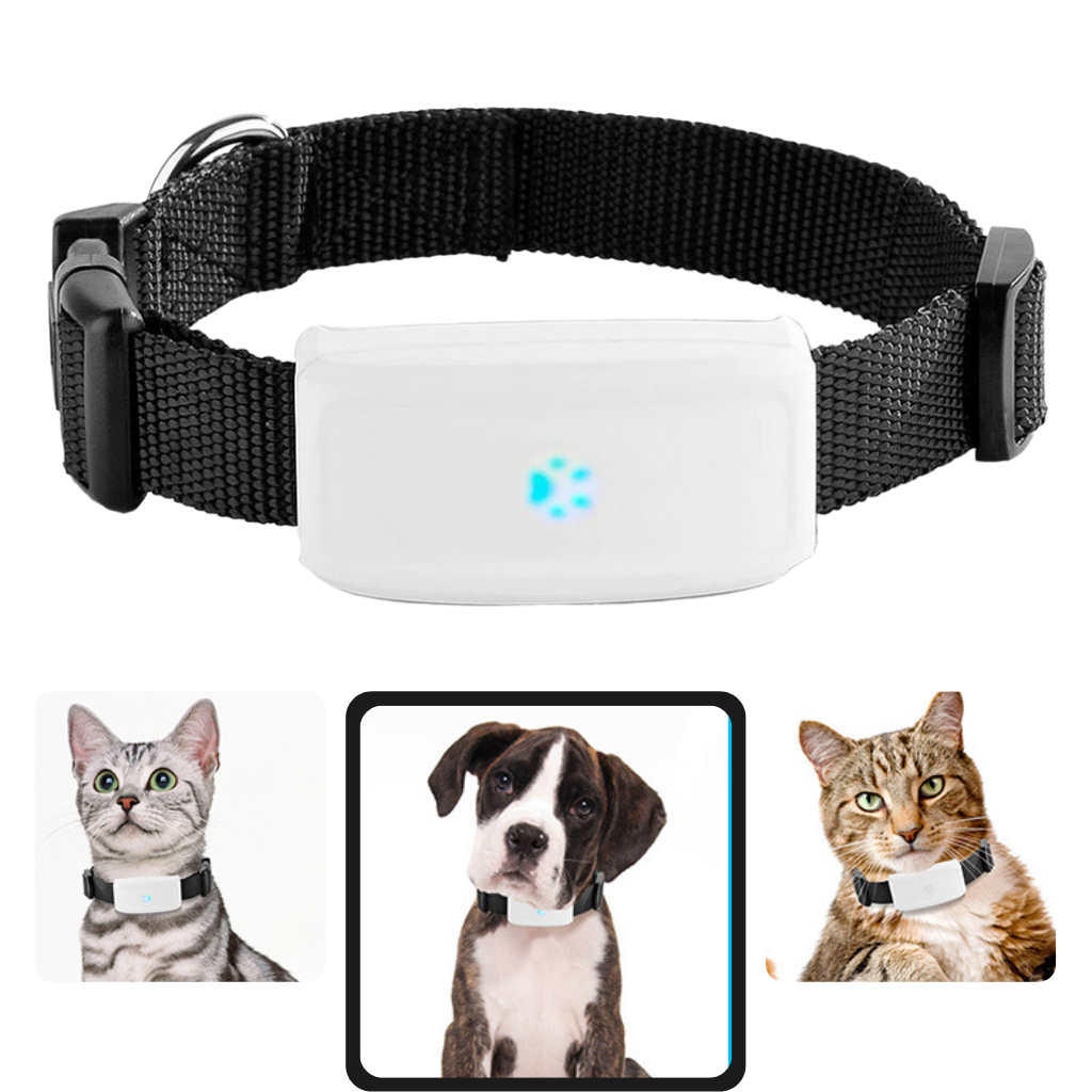 Pet GPS Tracking Collar - Ozerty