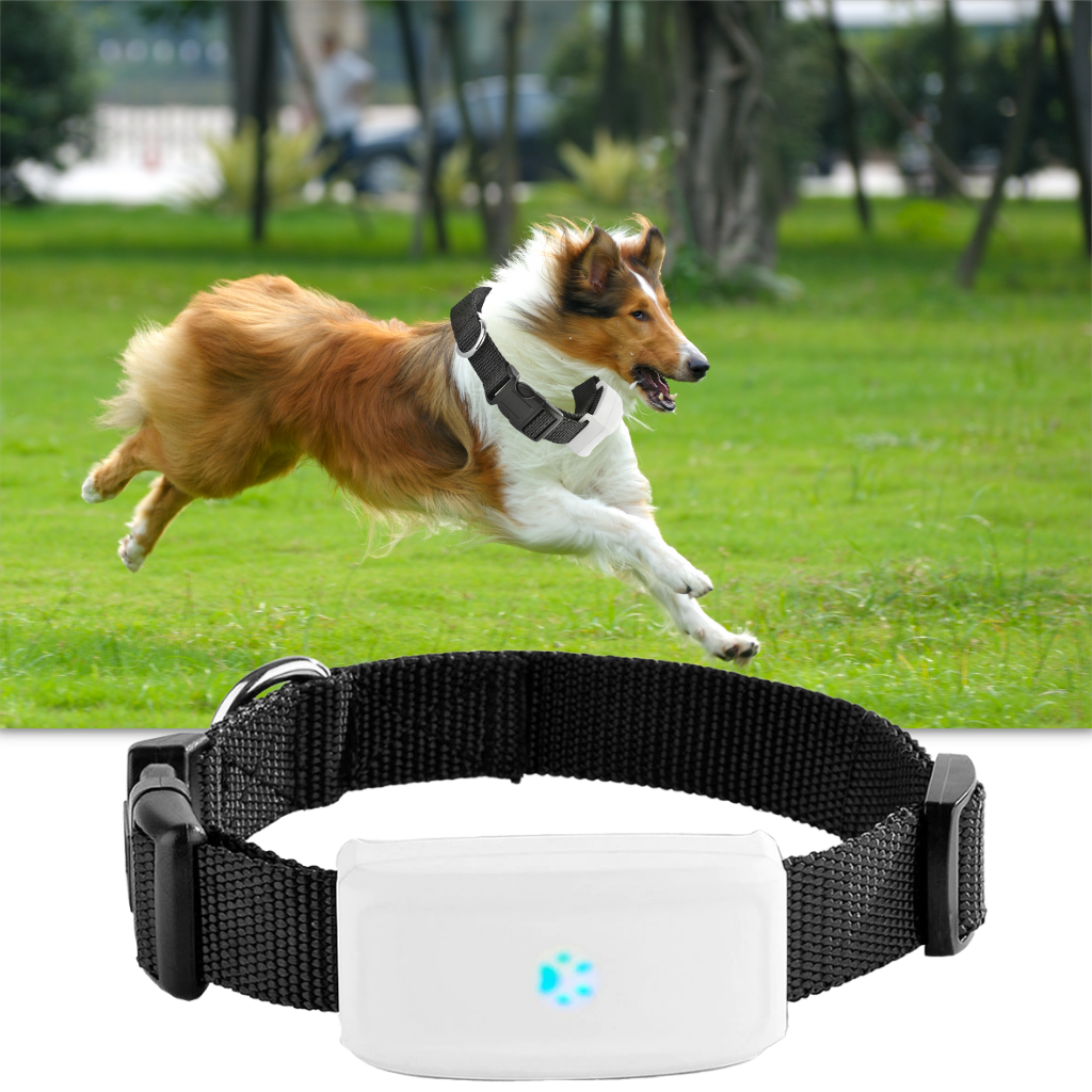 Pet GPS Tracking Collar