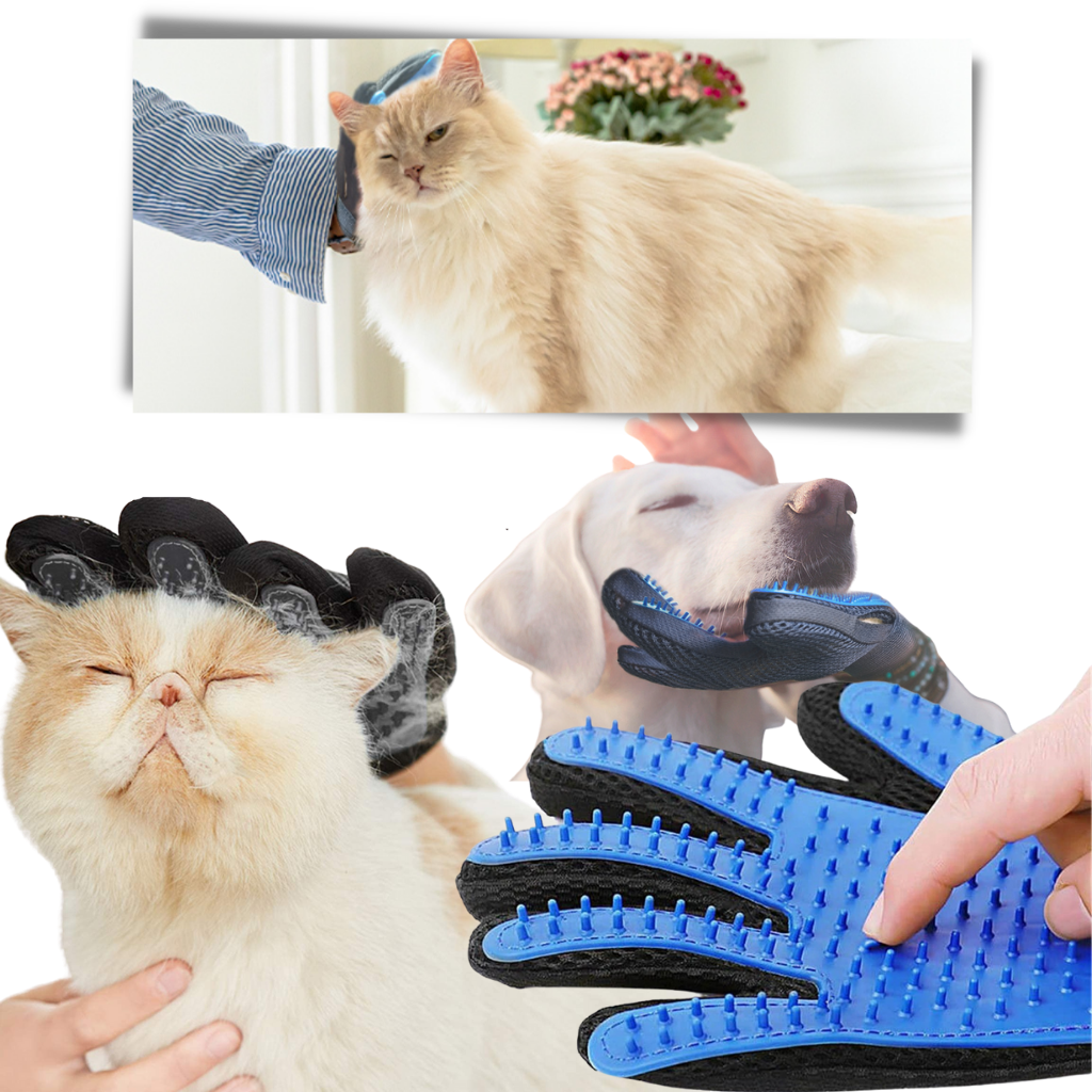 Pet Grooming Gloves (Pair)