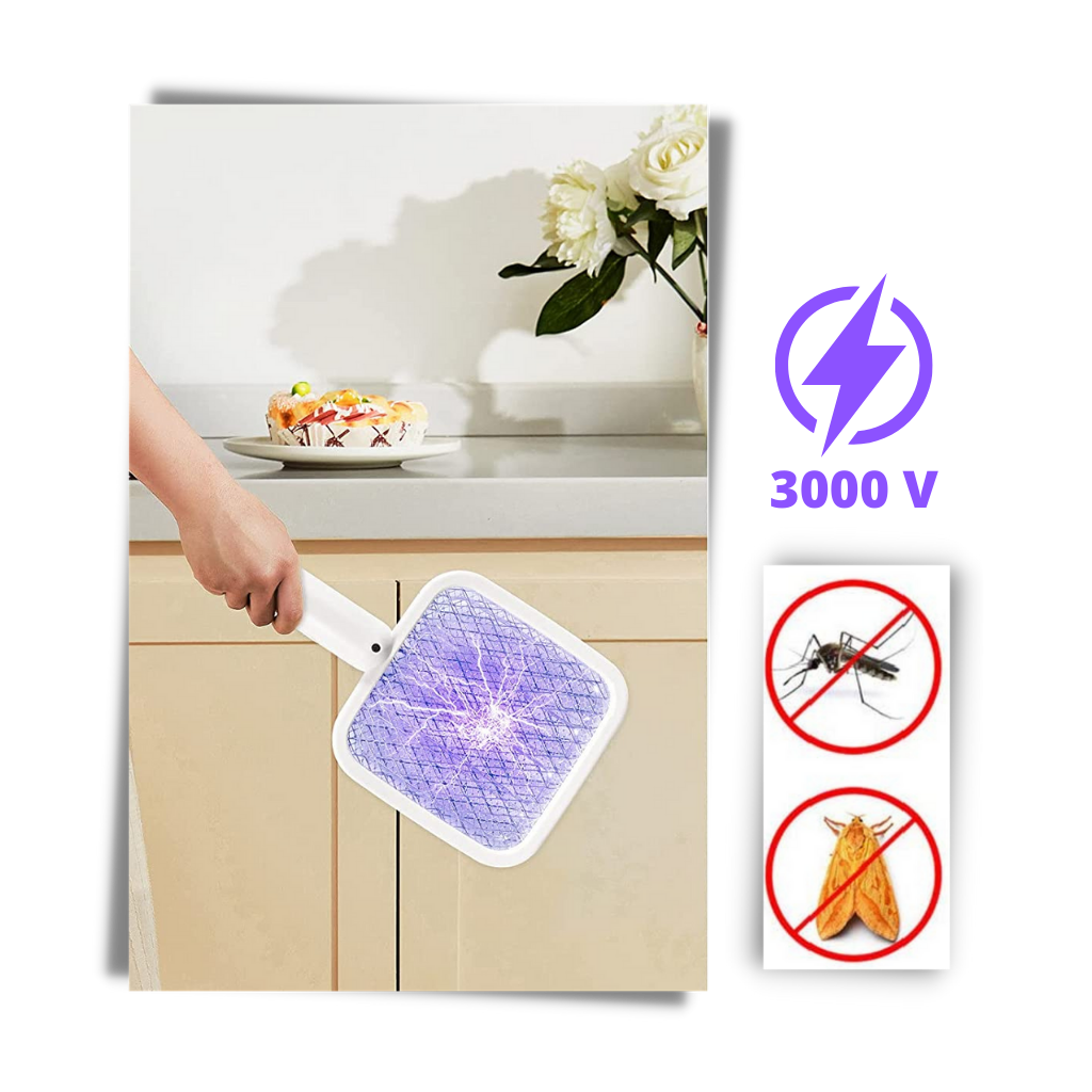 2 in 1 Electric Mosquito Swatter LED lamp